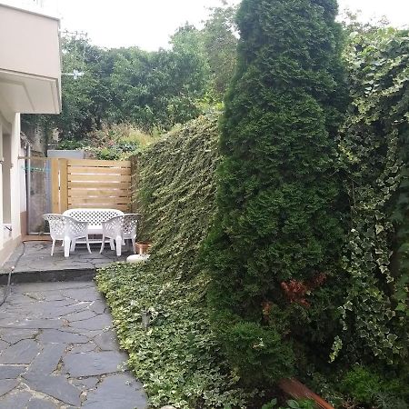 Apartamento Con Pequeno Jardin En El Centro 페레올 외부 사진